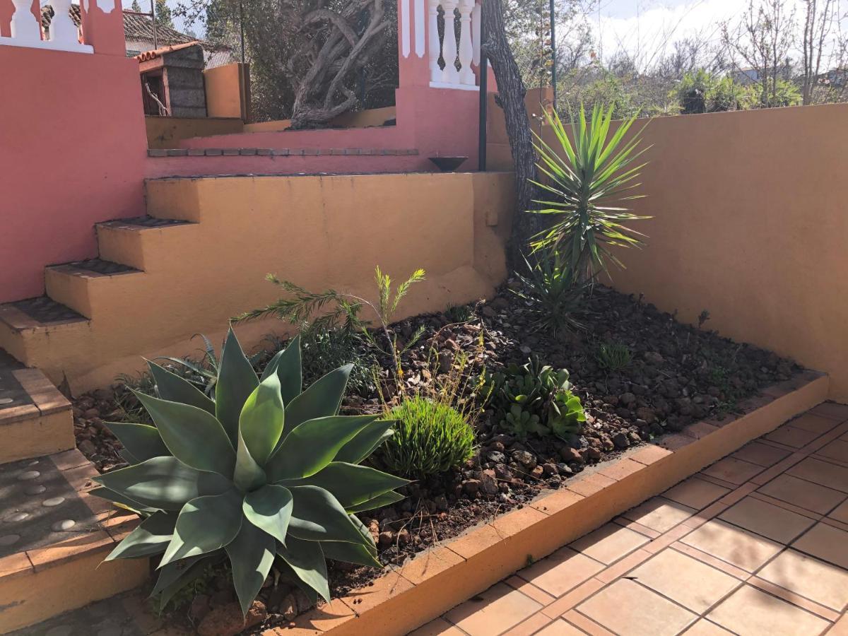 Casa Cesar Villa Puntagorda  Exterior photo
